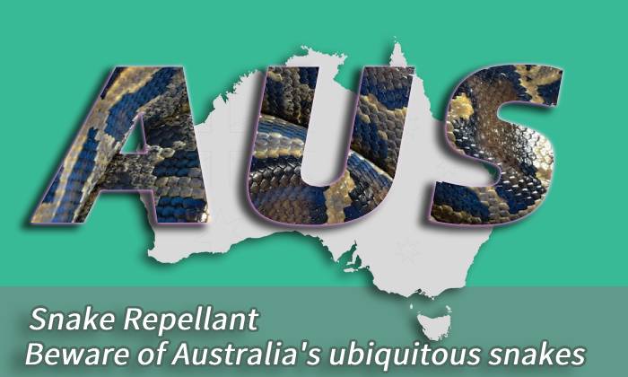 banner Australia ubiquitous snakes